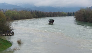 Drina narasla 1