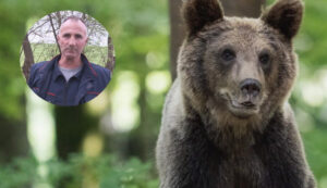 Medved i covek Beserovina