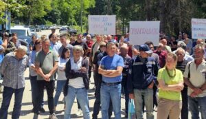 Zaglavak protest