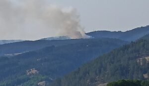 pozar kompleks Panorama Tara