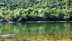 Drina