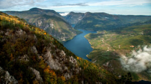 NP Drina