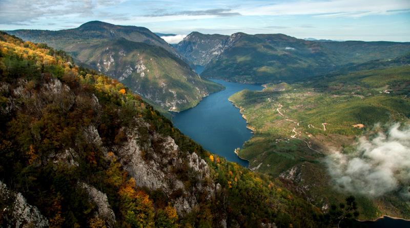 NP Drina