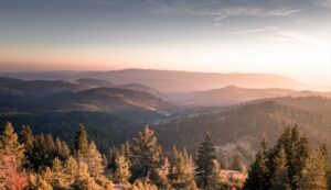 Zlatar TO