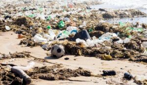 wwf-plastika-2