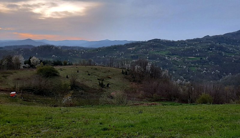 Panorama livada i šuma