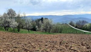 Selo panorama