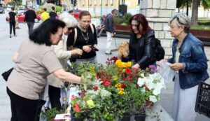 Savetovalište Jefimija UE ulična akcija