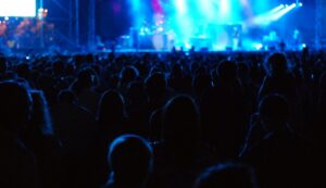 Muzicki festival, koncert