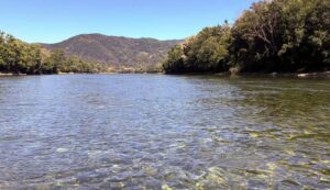 Drina - ribolov, turizam, ekologija