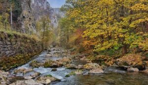 Djetinja-TO Uzice