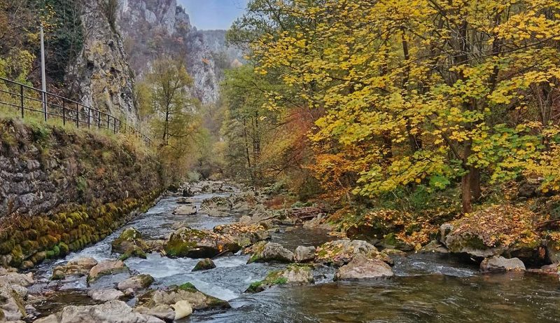 Djetinja-TO Uzice
