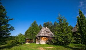 Sitrogojno TO Zlatibor