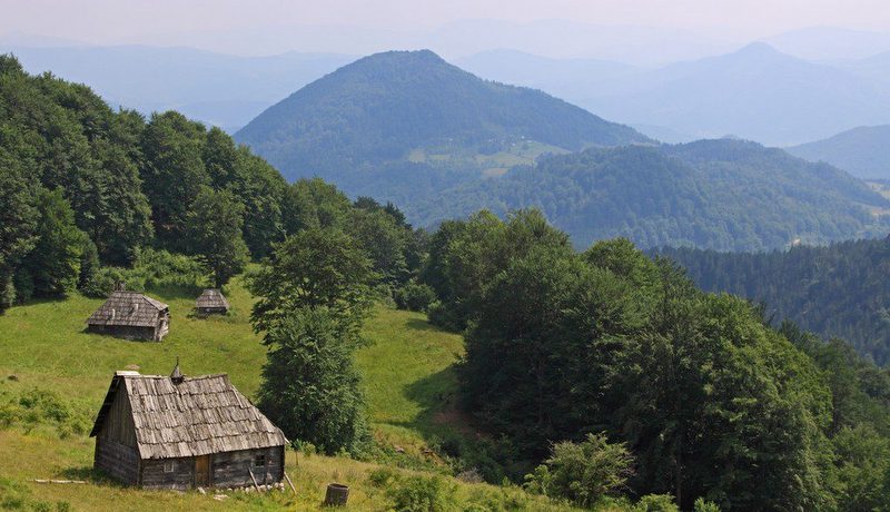 mokra-gora-22