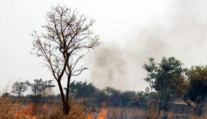 Fires in the dry season